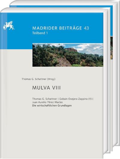 Mulva VIII. Die wirtschaftlichen Grundlagen von Munigua 