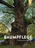 Baumpflege