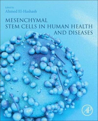 Mesenchymal Stem Cells in Human Health and Diseases