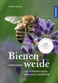 Bienenweide: 220 Trachtpflanzen erkennen und bewer ...