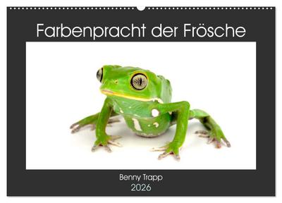 Farbenpracht der Frösche (Wandkalender 2026 DIN A2 quer), CALVENDO Monatskalender