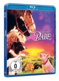Ein Schweinchen namens Babe