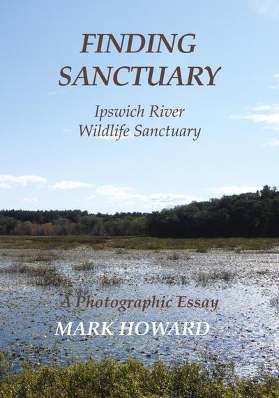 Finding  Sanctuary