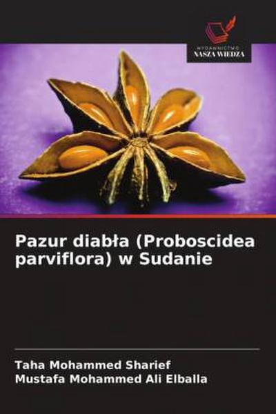 Pazur diab¿a (Proboscidea parviflora) w Sudanie