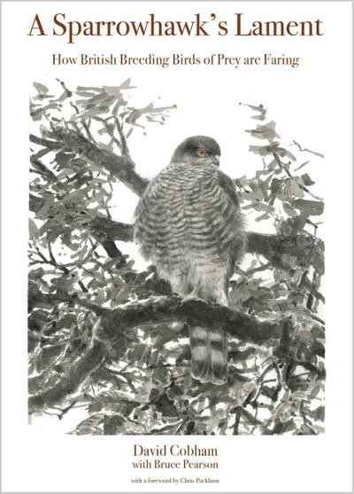 A Sparrowhawk’s Lament