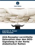 A2A-Rezeptor-vermittelte Relaxation über den NOS-S
