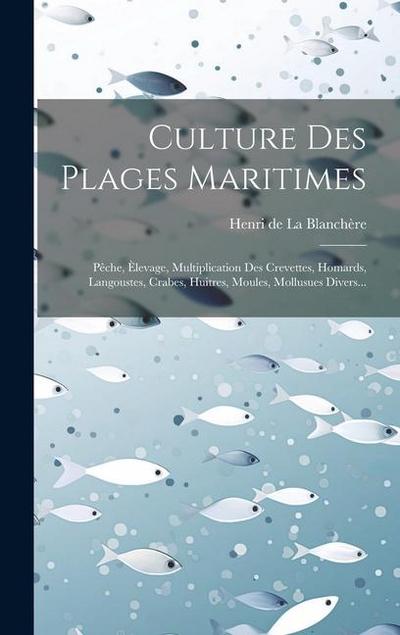Culture Des Plages Maritimes: Pêche, Èlevage, Multiplication Des Crevettes, Homards, Langoustes, Crabes, Huitres, Moules, Mollusues Divers...