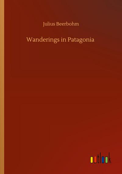Wanderings in Patagonia
