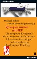 Synergien nutzen mit PEP