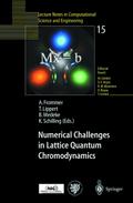Numerical Challenges in Lattice Quantum Chromodynamics