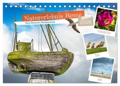 Naturerlebnis Rømø (Tischkalender 2026 DIN A5 quer), CALVENDO Monatskalender
