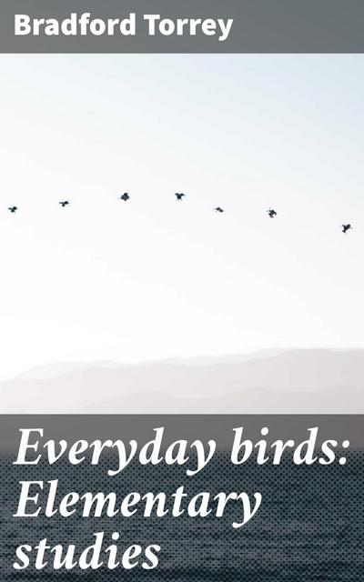 Everyday birds: Elementary studies