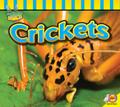 Crickets