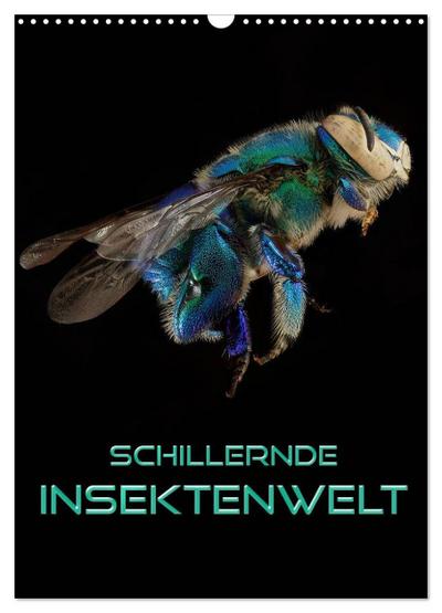 Schillernde Insektenwelt (Wandkalender 2026 DIN A3 hoch), CALVENDO Monatskalender