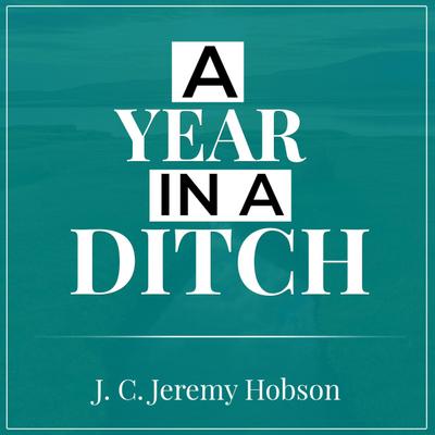 A Year In A Ditch