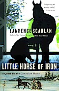 Little Horse of Iron
