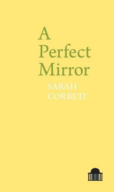A Perfect Mirror