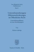 Unternehmensbezogene Effizienzanforderungen im Öffentlichen Recht.