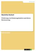 Förderung von Existenzgründern und deren Besteuerung - Maximilian Buchard