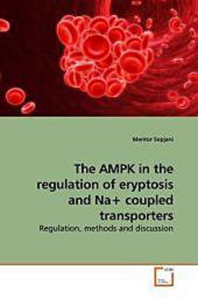 The AMPK in the regulation of eryptosis and Na+ coupled transporters