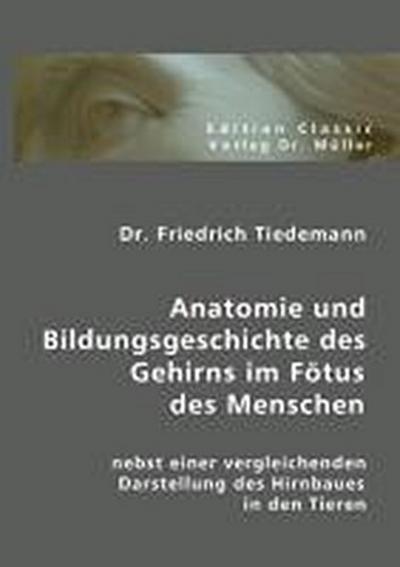Anatomie und Bildungsgeschichte des Gehirns im Fötus des Menschen