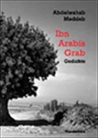 Ibn Arabis Grab. Tombeau d’ Ibn Arabi