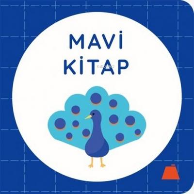 Mavi Kitap Ciltli