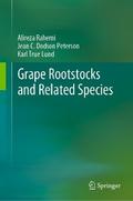 Grape Rootstocks and Related Species