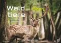 Waldtiere - Heimische Waldbewohner 2027