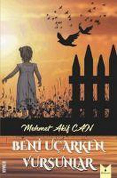 Beni Ucarken Vursunlar
