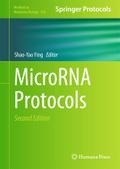MicroRNA Protocols (Methods in Molecular Biology, 936, Band 936)