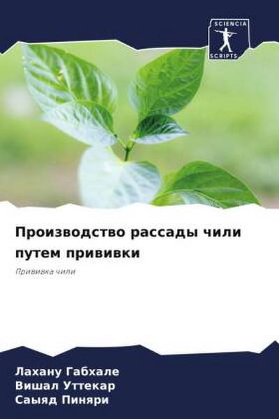 Proizwodstwo rassady chili putem priwiwki