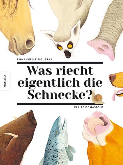 Was riecht eigentlich die Schnecke?: Über den Geruchssinn der Tiere