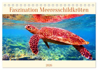 Faszination Meeresschildkröten (Tischkalender 2026 DIN A5 quer), CALVENDO Monatskalender