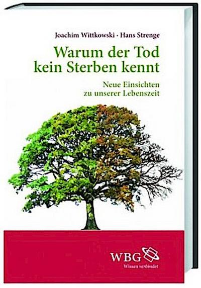 Warum der Tod kein Sterben kennt