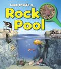 Rock Pool