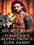 Secret Baby for the Forbidden Alpha Prince