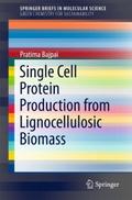 Single Cell Protein Production from Lignocellulosi