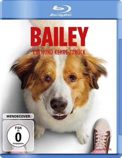 Bailey - Ein Hund kehrt zurück