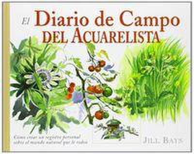 El diario de campo del acuarelista