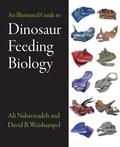 Illustrated Guide to Dinosaur Feeding Biology
