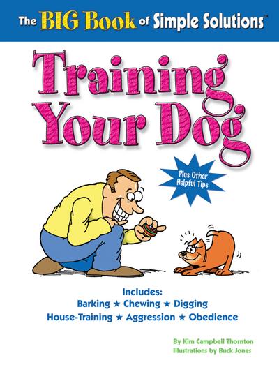The Big Book of Simple Solutions