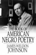 Book of American Negro Poetry