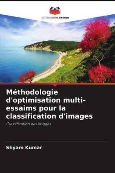 Méthodologie d’optimisation multi-essaims pour la classification d’images