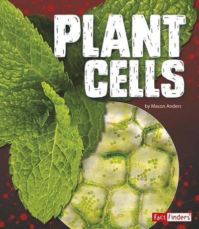 Plant Cells