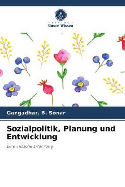 Sozialpolitik, Planung und Entwicklung