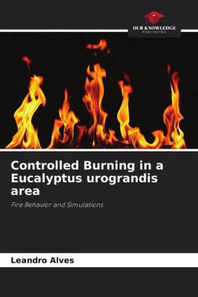 Controlled Burning in a Eucalyptus urograndis area