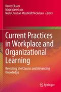 Current Practices in Workplace and Organizational Learning