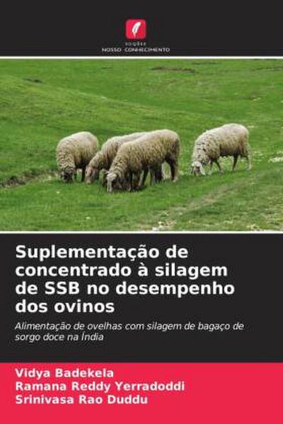 Suplementação de concentrado à silagem de SSB no desempenho dos ovinos