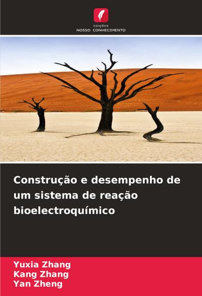 Construção e desempenho de um sistema de reação bioelectroquímico